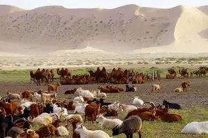 Tour image of 14 days Combination of Gobi and Central Mongolia