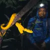 Image of Wildlife Encounters