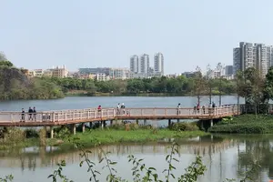 Tour image of 4 Hours Half Day Guangzhou Airport Layover Visa-Free Private Tour