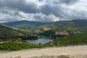 Tour image of Douro Valley amazing wine Tours