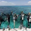 Image of Snorkeling