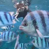 Image of Scuba Diving