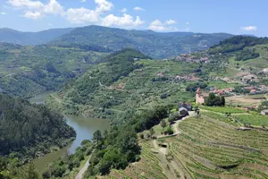 Tour image of Douro & Vinho Verde: Family Wineries Private Tour in Portugal