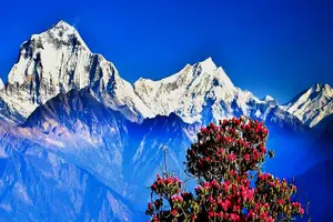 Tour image of Ghorepani Poon Hill Trekking