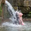 Image of Traditional Wellness