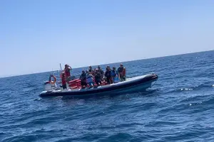 Tour image of Dolphin Safari, São Rafael Caves & Coastline.