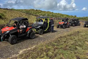 Tour image of Mountain House 2 Hour Buggy Ride