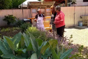 Tour image of Healdsburg Wine and Food Pairing Guided Walking Tour