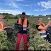 Image of Plantation Tours