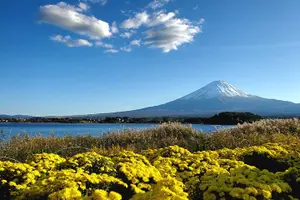 Tour image of Mount Fuji Full-Day Private Tour from Shimizu Port (Customizable)