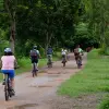 Image of Mountain Bike Tours