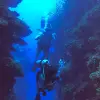Image of Freediving