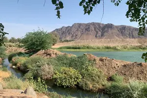 Tour image of Experience Madinah’s Culture and Historical sights