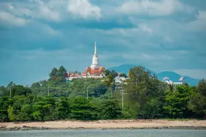 Tour image of Dolphin Watching Tan and Pig Island Tour from Koh Samui