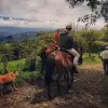 Image of Horseback Riding