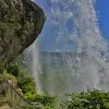 Image of Nature Walks