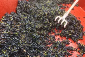 Tour image of Southern Burgundy Wine Tour - Full Day Shared tour from Lyon
