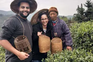 Tour image of Tea Village in lost Town and Buddha 1 day tour