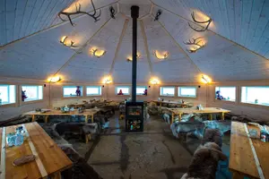 Tour image of Reindeer Sledding and Feeding with Sami Culture in Tromso.