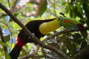 Image of Costa Rica