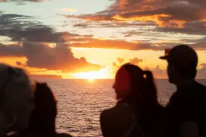 Tour image of Leila Na Pali Sunset Dinner Sail