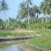 Image of Eco Tours
