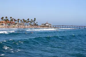 Tour image of Whale-Watching and Orange County Beaches Tour from Anaheim
