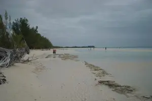 Tour image of Bahamas Get-A-Round Bus Pass