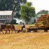 Image of Seasonal