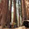 Image of Nature and Wildlife Tours