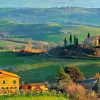 Image of Wine Making Workshops