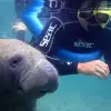 Image of Wildlife Encounters