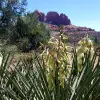 Image of Hiking Tours