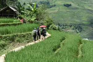 Tour image of 1-Day Private Trekking in Sapa through Terraces Rice Fields