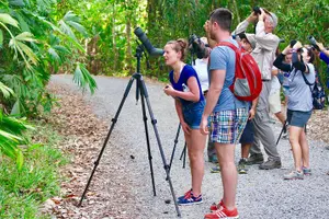 Tour image of Manuel Antonio National Park Wildlife Tour
