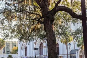 Tour image of Savannah VIP Tour: Private Full-Day Tour