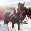 Image of Horseback Riding