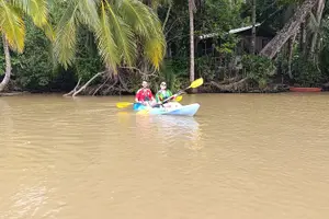 Tour image of Kayaking Tour in Punta Grape, Animals and Fruits!
