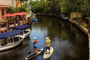 Tour image of Kayak Rental: Explore Mangroves and Self-Navigated River Eco Paddle
