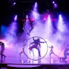 Image of Circus Shows