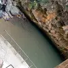 Image of Nature and Wildlife Tours