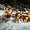 Image of Wildlife Encounters