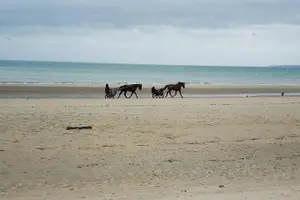 Tour image of Private Day Tour including Normandy Landing Beaches & Battlefields from Bayeux