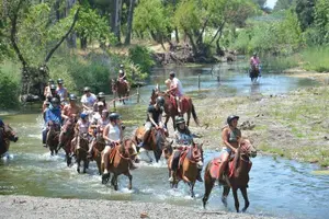 Tour image of Horse Riding Experience in Marmaris with Transfer