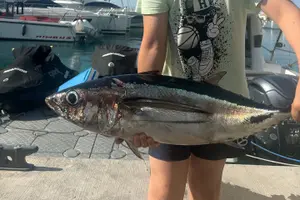 Tour image of Fishing Trips in Limassol Marina