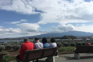 Tour image of Private guided hidden gems tour by local English speaking driver