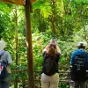 Image of Wildlife Watching