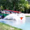 Image of Duck Boat Tours