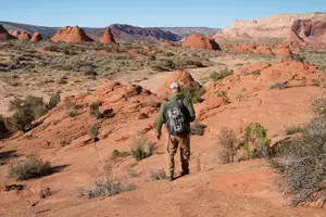 Tour image of Zion National Park