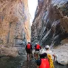 Image of Climbing